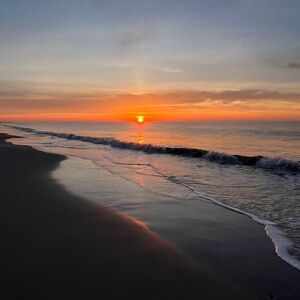 Meet your Posher, Macy